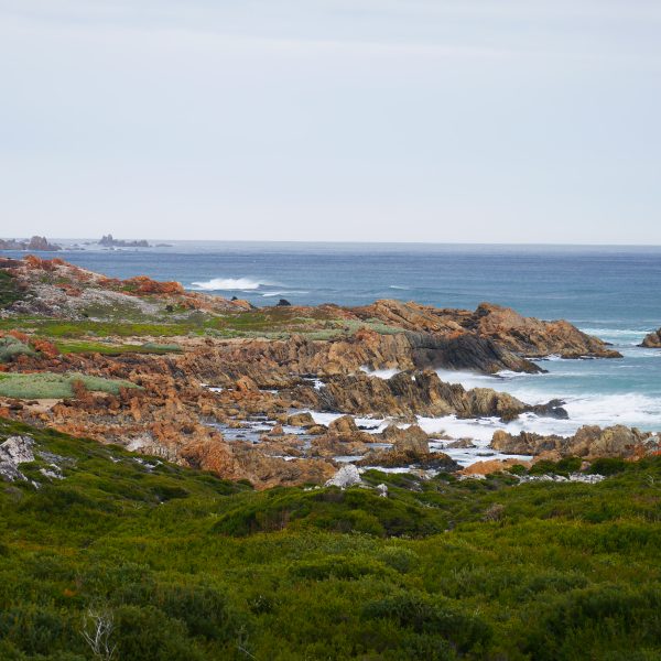La beauté du littoral